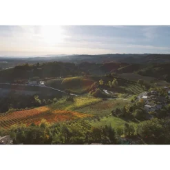 Acetaia Sereni - Exclusive Experience - Guided Tour - Tasting - Balsamic Vinegar of Modena D.O.P. - 4 Days 3 Nights - Avvenice