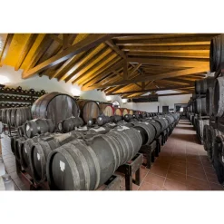 Acetaia Sereni - Exclusive Experience - Guided Tour - Tasting - Balsamic Vinegar of Modena D.O.P. - 4 Days 3 Nights - Avvenice