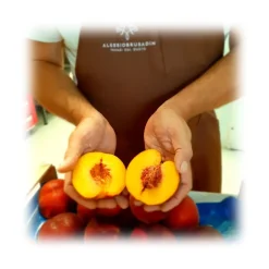 Alessio Brusadin - Extra Jam of Peaches - Sweet Artisan Compotes - Avvenice
