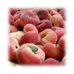 Alessio Brusadin - Williams Pears and Vanilla Pods Jam - The Special Jams - Sweet Artisan Compotes - Avvenice