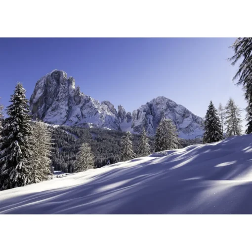 Alpenroyal Grand Hotel - Junior Suite - 3 Days 2 Nights - Exclusive Luxury - Val Gardena - Trentino Italy - Avvenice