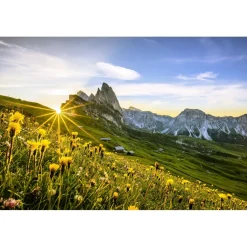 Alpenroyal Grand Hotel - Junior Suite - 4 Days 3 Nights - Exclusive Luxury - Val Gardena - Trentino Italy - Avvenice