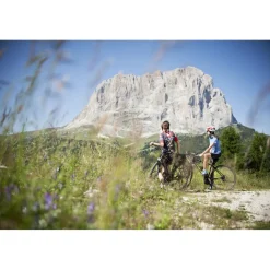 Alpenroyal Grand Hotel - V.I.P. Suite - 4 Days 3 Nights - Exclusive Luxury - Val Gardena - Trentino Italy - Avvenice