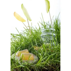 Amistà 33 - Chef Marco Perez - Menù Amistà - Avvenice