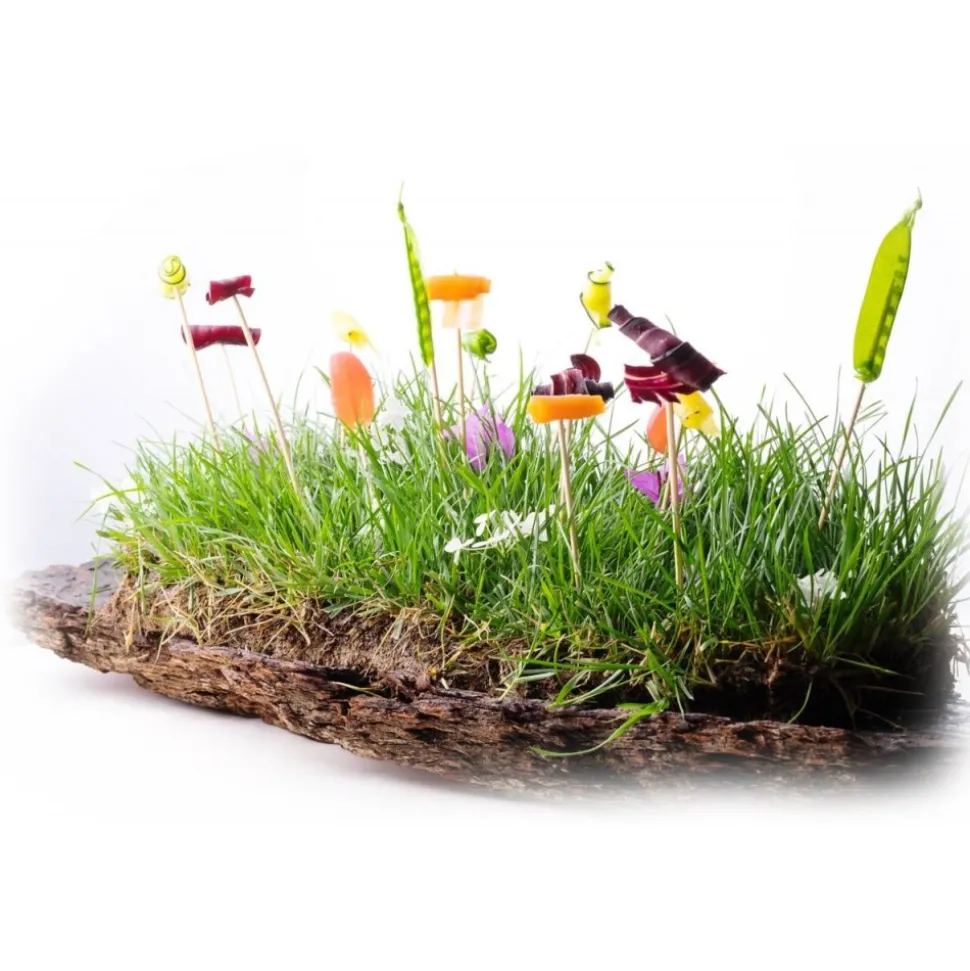 Amistà 33 - Chef Marco Perez - Menù Amistà - Avvenice