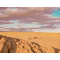 Anantara Sahara Tozeur Resort - Saharan Desert - Star Wars - Deluxe Suite - 5 Days 4 Nights - Tunisia - Exclusive Luxury - Avvenice
