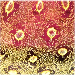 Ars Cenedese Murano - Bollinato Bown 24k Gold - Ruby Normal - Venetian Vase Handmade by Venetian Glassmasters - Luxury - Avvenice