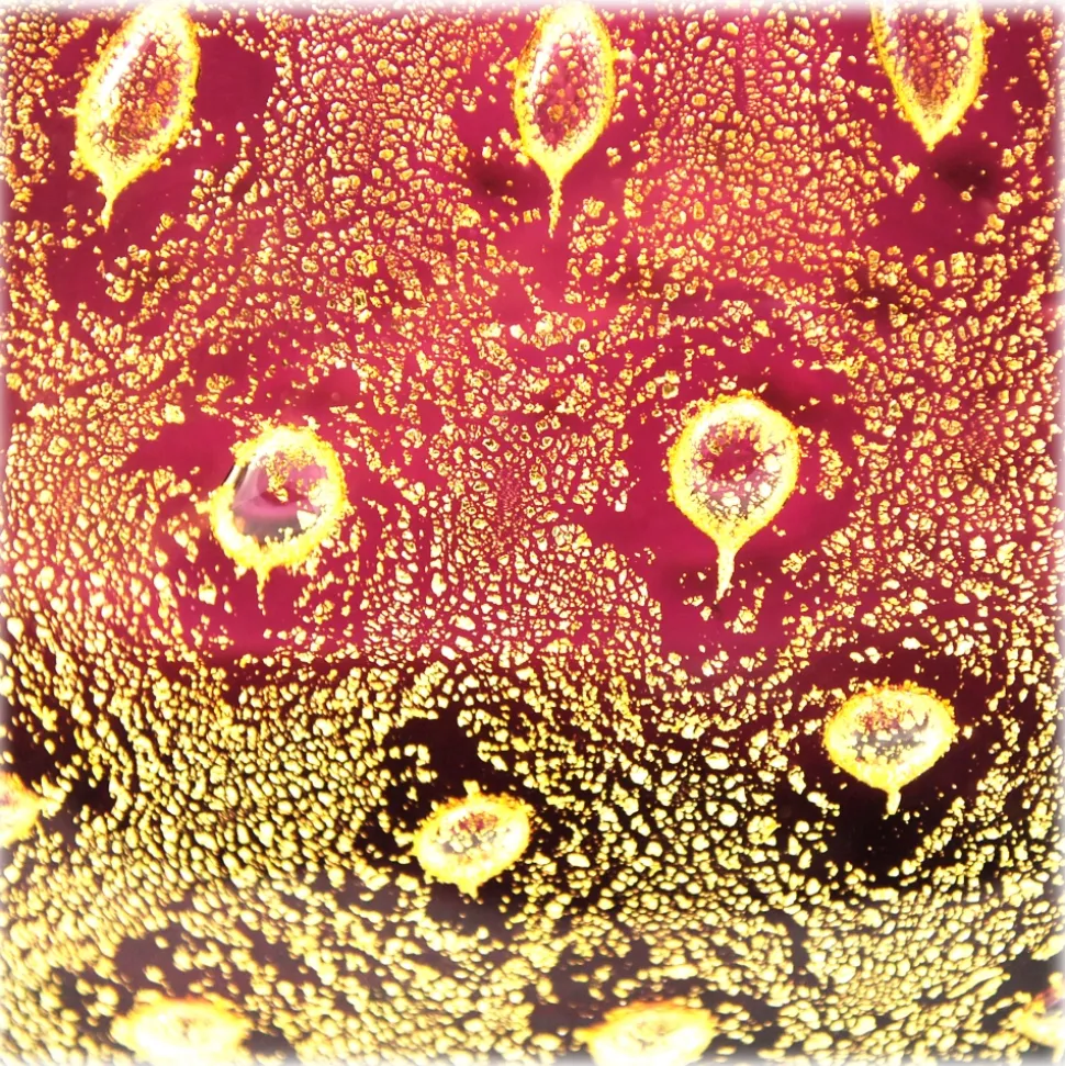 Ars Cenedese Murano - Bollinato Bown 24k Gold - Ruby Normal - Venetian Vase Handmade by Venetian Glassmasters - Luxury - Avvenice