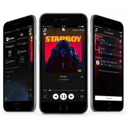 Audio Pro - Addon C5 - Black - High Quality Speaker - WLAN Multi-Room - Airplay, Stereo, Bluetooth, Wireless, WiFi - Avvenice