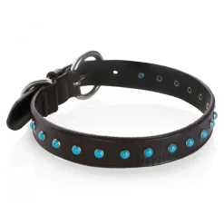 B Wilde Collection - Cabo Collar - Turquoise - Cabo Collection - Leather Collar - High Quality Luxury - Avvenice