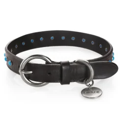 B Wilde Collection - Cabo Collar - Turquoise - Cabo Collection - Leather Collar - High Quality Luxury - Avvenice