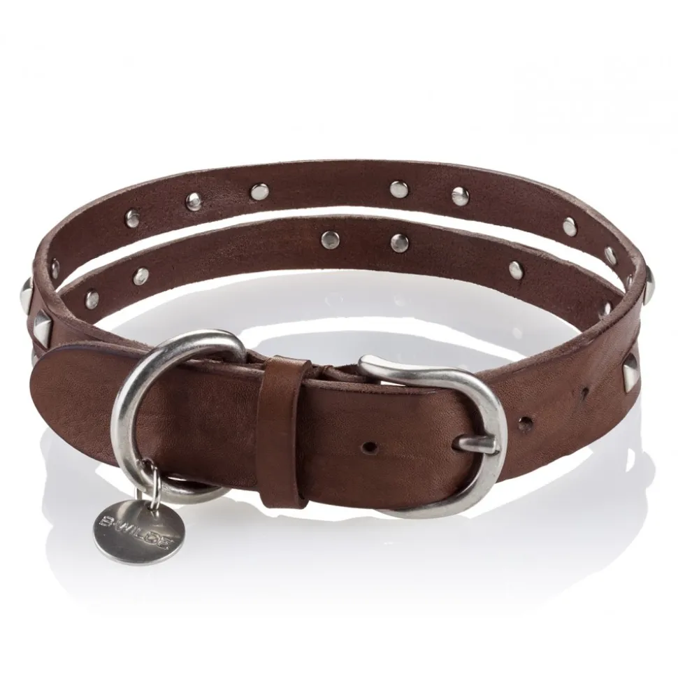 B Wilde Collection - Cairo Collar - Biscuit - Cairo Collection - Leather Collar - High Quality Luxury - Avvenice