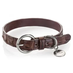 B Wilde Collection - Coco Collar - Coco Collection - Crocodile Collar - High Quality Luxury - Avvenice