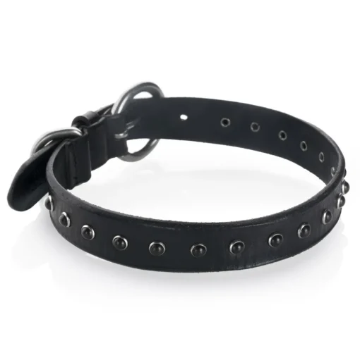 B Wilde Collection - Set Cabo - Collar & Leash - Black - Cabo Collection - Leather Collar - High Quality Luxury - Avvenice