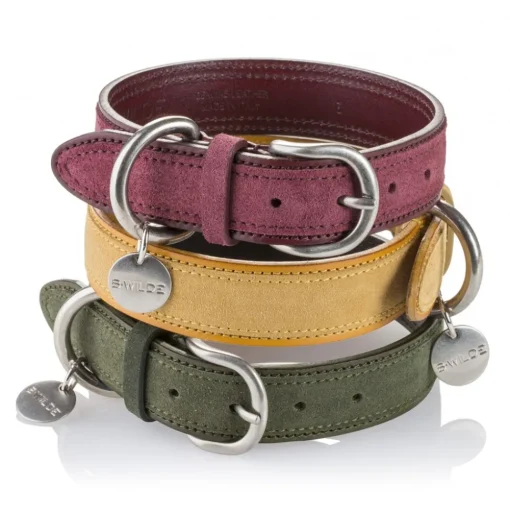 B Wilde Collection - Set Tango - Bordeaux - Collar & Leash - Tango Collection - Leather Collar - High Quality Luxury - Avvenice