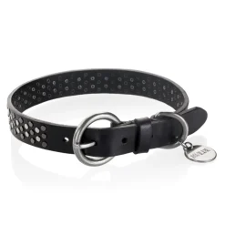 B Wilde Collection - Sparky Collar - Sparky Collection - Leather Collar - High Quality Luxury - Avvenice