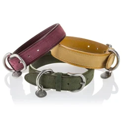 B Wilde Collection - Tango Collar - Tuscany Yellow - Tango Collection - Leather Collar - High Quality Luxury - Avvenice
