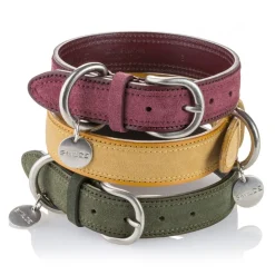 B Wilde Collection - Tango Collar - Tuscany Yellow - Tango Collection - Leather Collar - High Quality Luxury - Avvenice