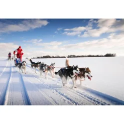 Billion Travel - Winter Alps - Ski Paradise - Exclusive Luxury Tour - Italy - Avvenice