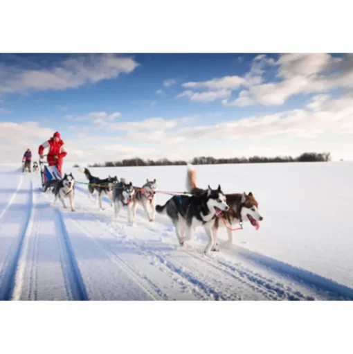 Billion Travel - Winter Alps - Ski Paradise - Exclusive Luxury Tour - Italy - Avvenice