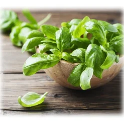 BioOrto - Organic Basil Pesto without Garlic - Organic Preserved Foods - 180 g - Avvenice
