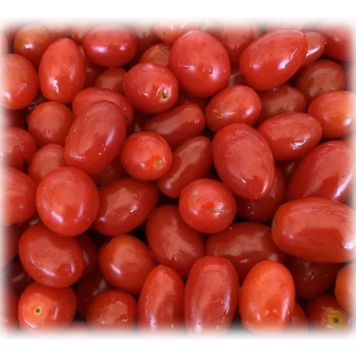 BioOrto - Organic Natural Datterino Tomatoes - Organic Preserved Foods - 550 g - Avvenice