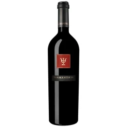 Bodega Numanthia - Termanthia - Toro - Spain - Red Wine - Luxury Limited Edition - 750 ml - Avvenice
