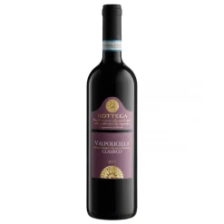 Bottega - Valpolicella Classico D.O.C. Bottega - Casa Bottega - Red Wines - Avvenice