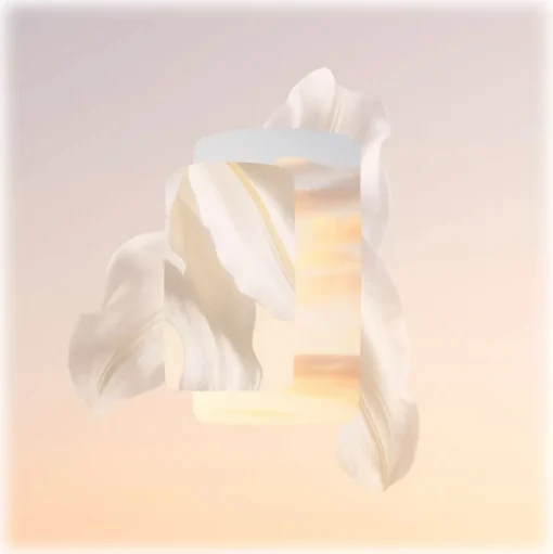 Cartier - Baiser Volé Eau De Parfum - Luxury Fragrances - 100 ml - Avvenice