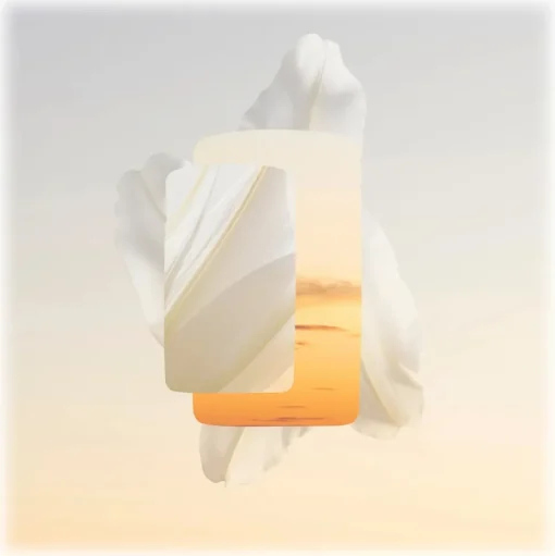 Cartier - Baiser Volé Parfum - Luxury Fragrances - 50 ml - Avvenice