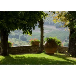 Castello di Meleto - Feeling The Silence of Wine and Relaxation - History - Art - 5 Days 4 Nights - Avvenice