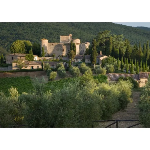 Castello di Meleto - Good Morning - History - Art - Wine - 3 Days 2 Nights - Avvenice