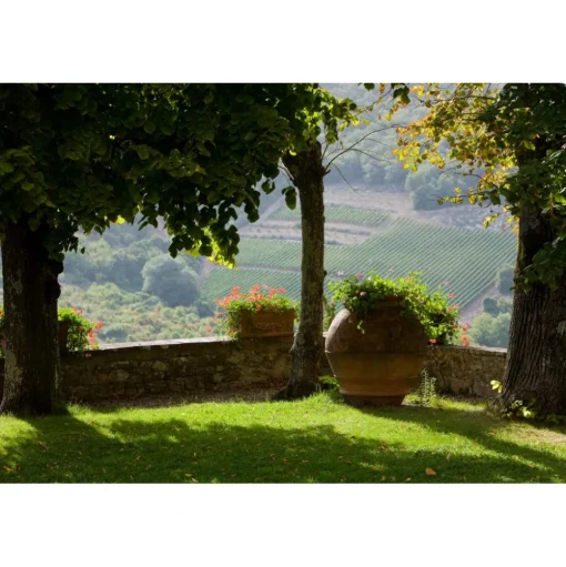 Castello di Meleto - Good Morning - History - Art - Wine - 3 Days 2 Nights - Avvenice