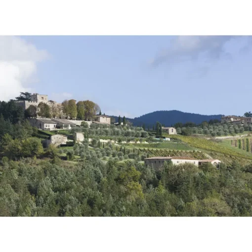 Castello di Meleto - Good Morning - History - Art - Wine - 3 Days 2 Nights - Avvenice