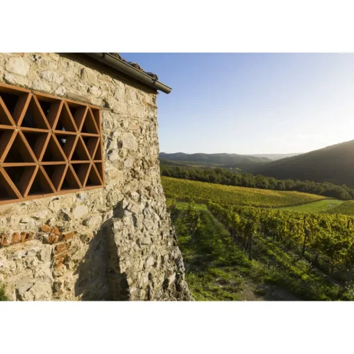 Castello di Meleto - Good Morning - History - Art - Wine - 3 Days 2 Nights - Avvenice
