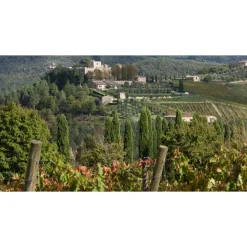 Castello di Meleto - Good Morning - History - Art - Wine - 3 Days 2 Nights - Avvenice