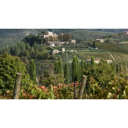 Castello di Meleto - Good Morning - History - Art - Wine - 3 Days 2 Nights - Avvenice