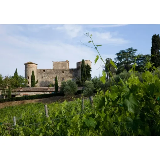 Castello di Meleto - Good Morning - History - Art - Wine - 3 Days 2 Nights - Avvenice