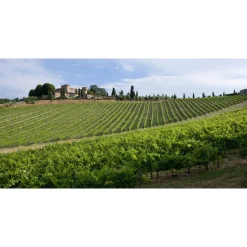 Castello di Meleto - Good Morning - History - Art - Wine - 3 Days 2 Nights - Avvenice