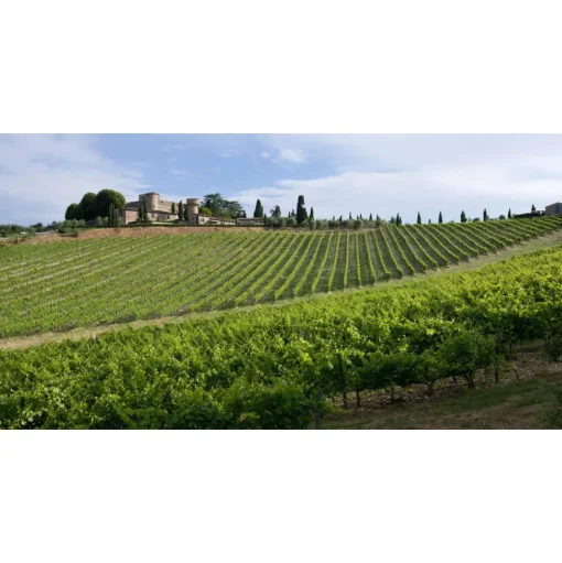 Castello di Meleto - Good Morning - History - Art - Wine - 3 Days 2 Nights - Avvenice