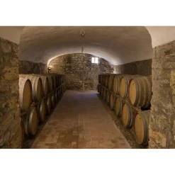 Castello di Meleto - Good Morning - History - Art - Wine - 3 Days 2 Nights - Avvenice
