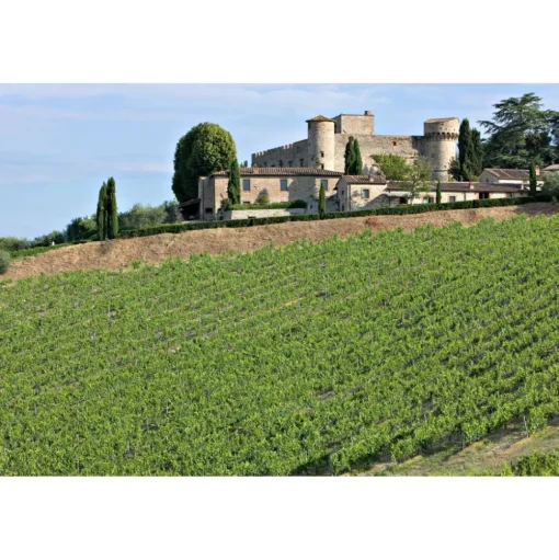Castello di Meleto - Good Morning - History - Art - Wine - 3 Days 2 Nights - Avvenice