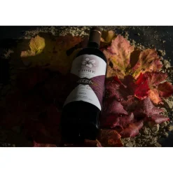 Castello di Meleto - Good Morning - History - Art - Wine - 3 Days 2 Nights - Avvenice