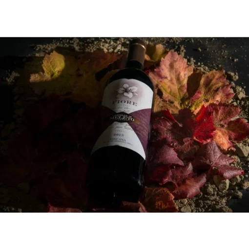 Castello di Meleto - Good Morning - History - Art - Wine - 3 Days 2 Nights - Avvenice