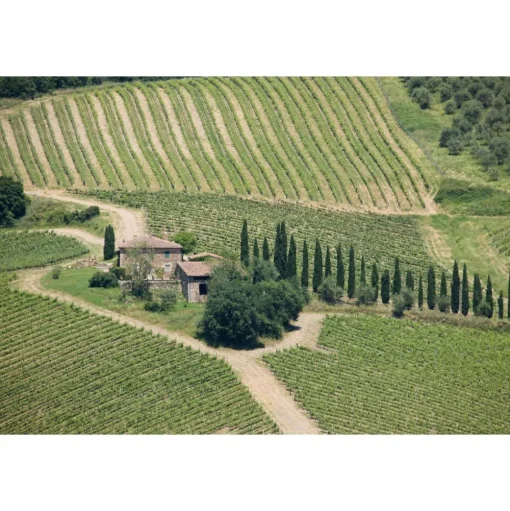 Castello di Meleto - Good Morning - History - Art - Wine - 3 Days 2 Nights - Avvenice