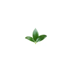 Cocosolis - Skin - Anti-Cellulite Dry Oil - Organic - Shapes and Smoothes The Silhouette - Professional Cosmetics - Avvenice