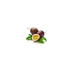Cocosolis - Skin - Collagen Booster Dry Oil - Organic Anti-Age with Oils Derived from Superfruits - Professional Cosmetics - Avvenice