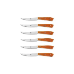 Coltellerie Berti - 1895 - Compendium Table Knife - N. 8450 - Exclusive Artisan Knives - Handmade in Italy - Avvenice