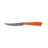Coltellerie Berti - 1895 - Compendium Table Knife - N. 7350 - Exclusive Artisan Knives - Handmade in Italy - Avvenice