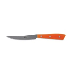 Coltellerie Berti - 1895 - Compendium Table Knife - N. 7350 - Exclusive Artisan Knives - Handmade in Italy - Avvenice